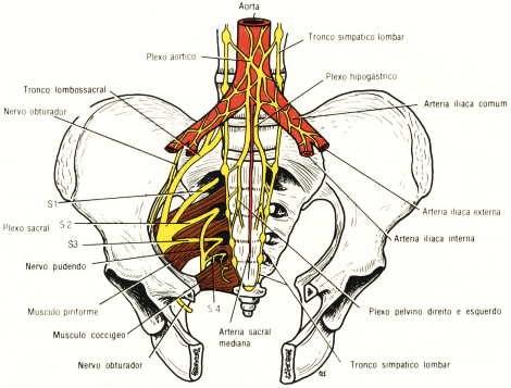 info sutnkg fluoxetina chile info sutnkg fluoxetina chile