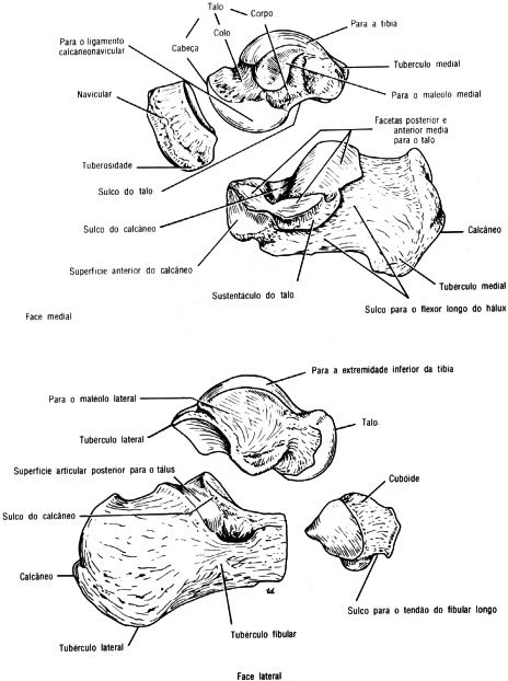 illacrimate sepolture