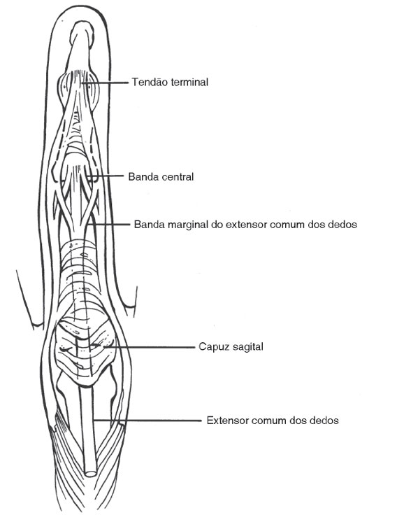 abstract tensor systems and diagrammatic