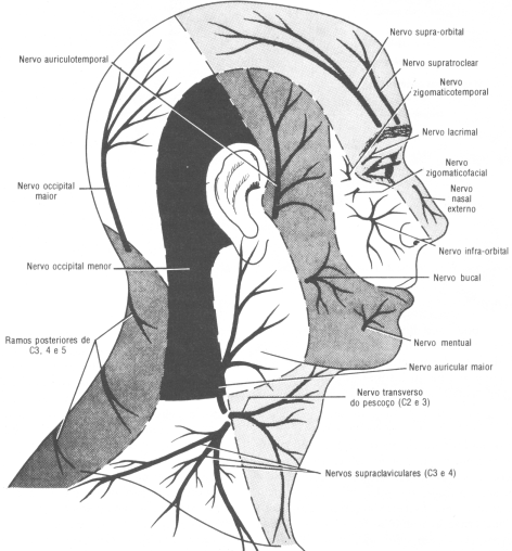 Fig11-06.gif
