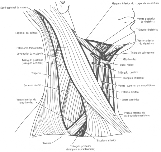 Fig11-10.gif