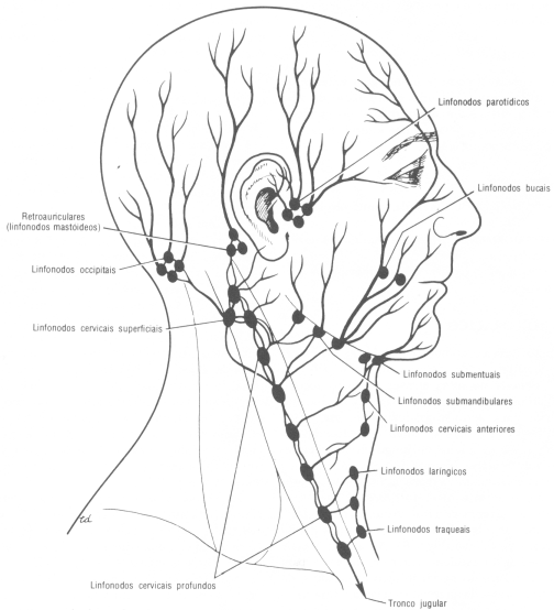 Fig11-19.gif