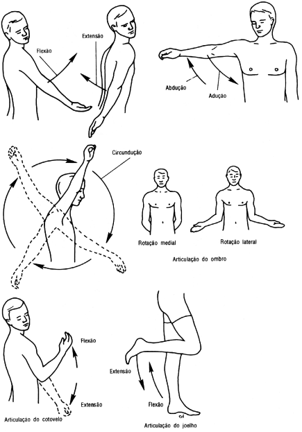 fig01-02.gif
