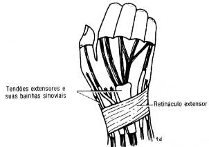 fig01-08.gif