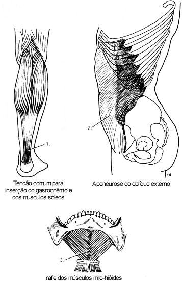 fig01-10.gif