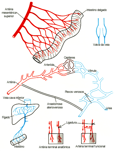 fig01-19.gif