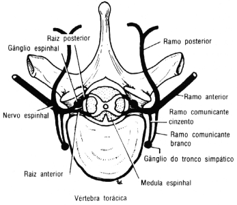fig01-22.gif