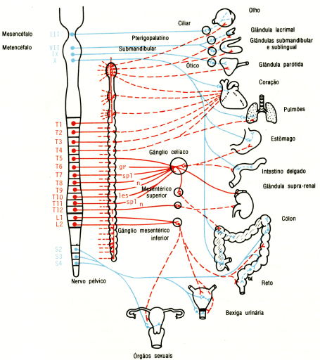 fig01-26.gif