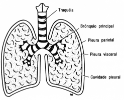 fig01-27.gif