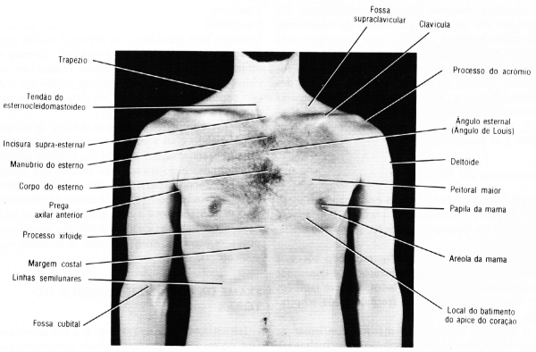 fig01-32.gif