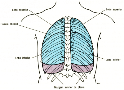 fig02-07.gif
