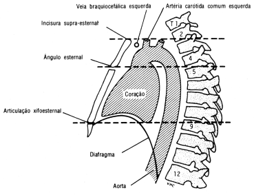 fig02-10.gif