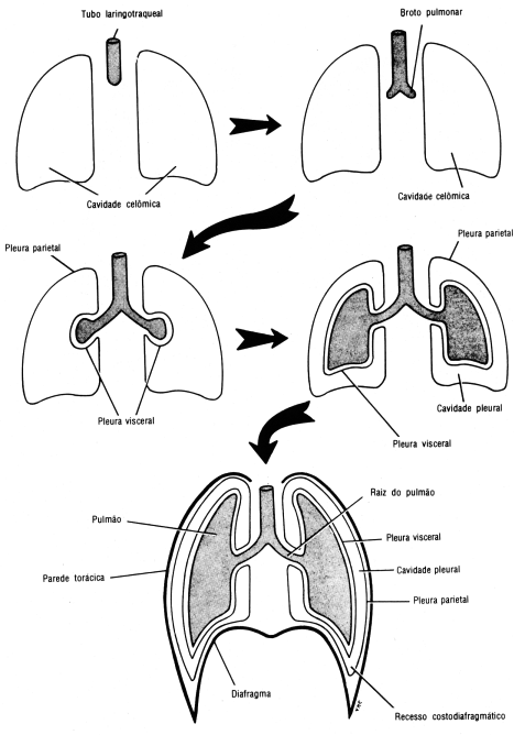 fig03-02.gif