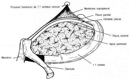 fig03-04.gif