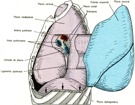 fig03-05.gif