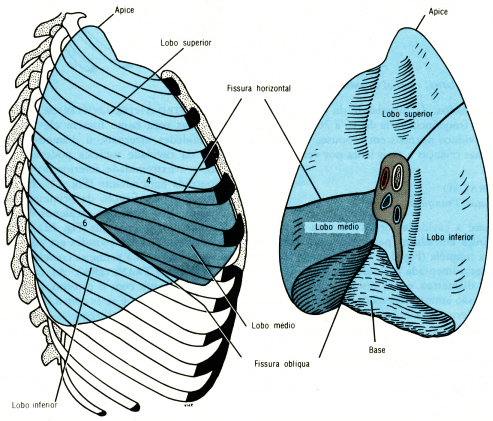 fig03-07.gif