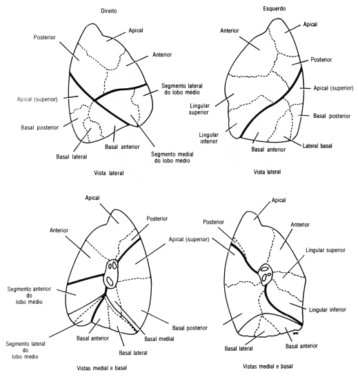 fig03-09.gif