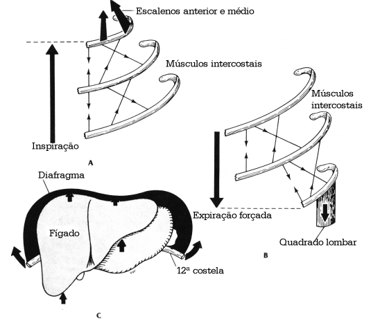 fig03-12.gif