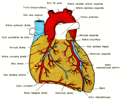 fig03-16.gif
