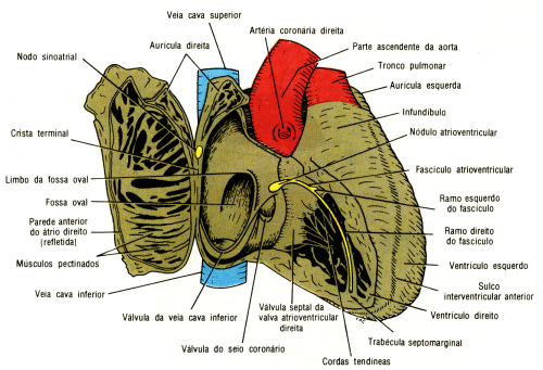 fig03-18.gif