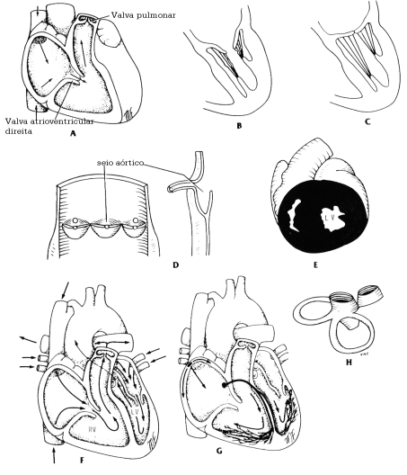 fig03-19.gif
