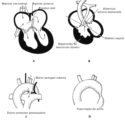 fig03-20.gif