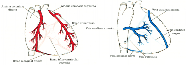 fig03-21.gif