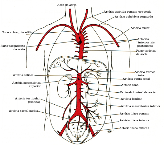 fig03-26.gif