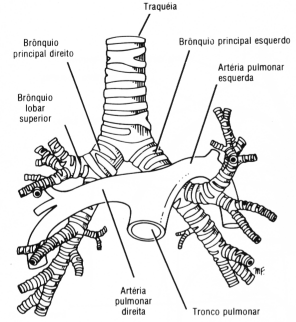 fig03-27.gif