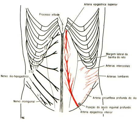 fig04-05.gif