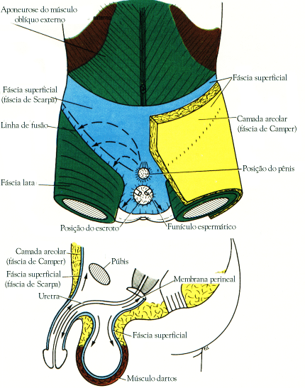fig04-07.gif