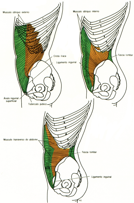 fig04-08.gif