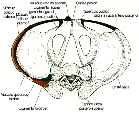 fig04-09.gif