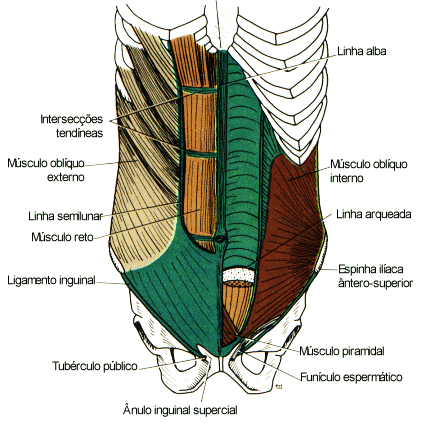 fig04-10.gif