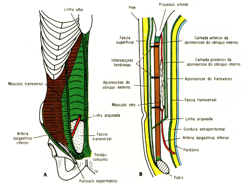 fig04-11.gif