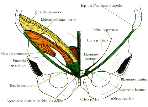 fig04-12.gif