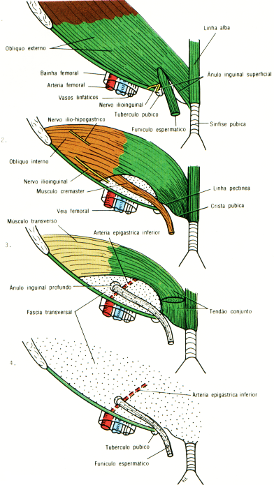 fig04-16.gif