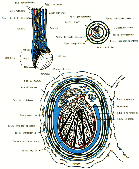 fig04-18.gif