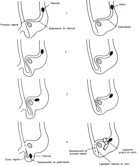 fig04-19.gif