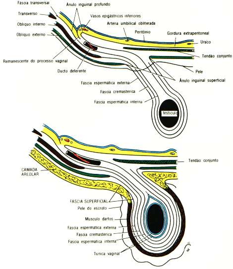 fig04-20.gif