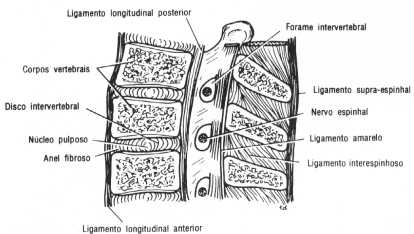 fig04-25.gif