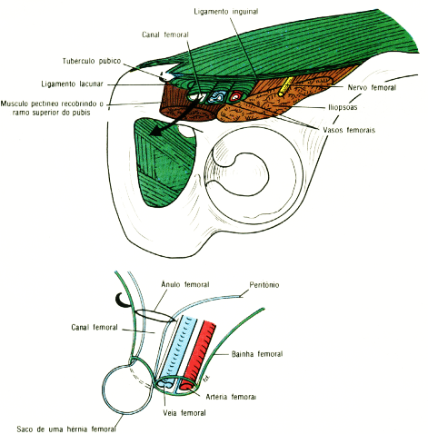 fig04-34.gif