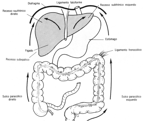 fig05-09.gif