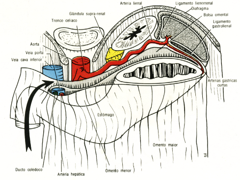 fig05-12.gif