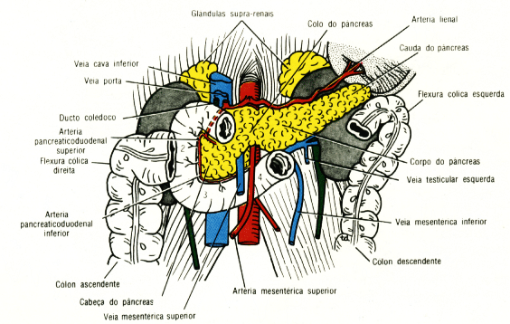 fig05-16.gif
