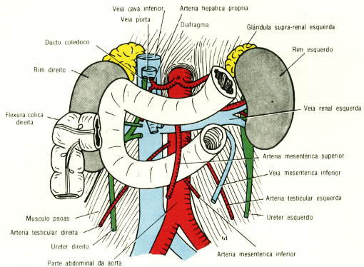 fig05-17.gif