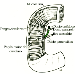 fig05-18.gif