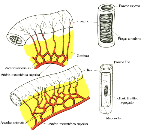 fig05-20.gif