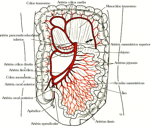 fig05-21.gif