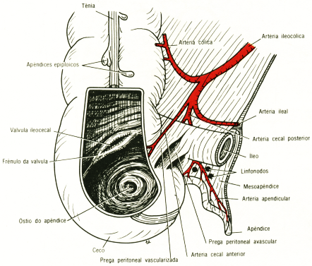 fig05-22.gif